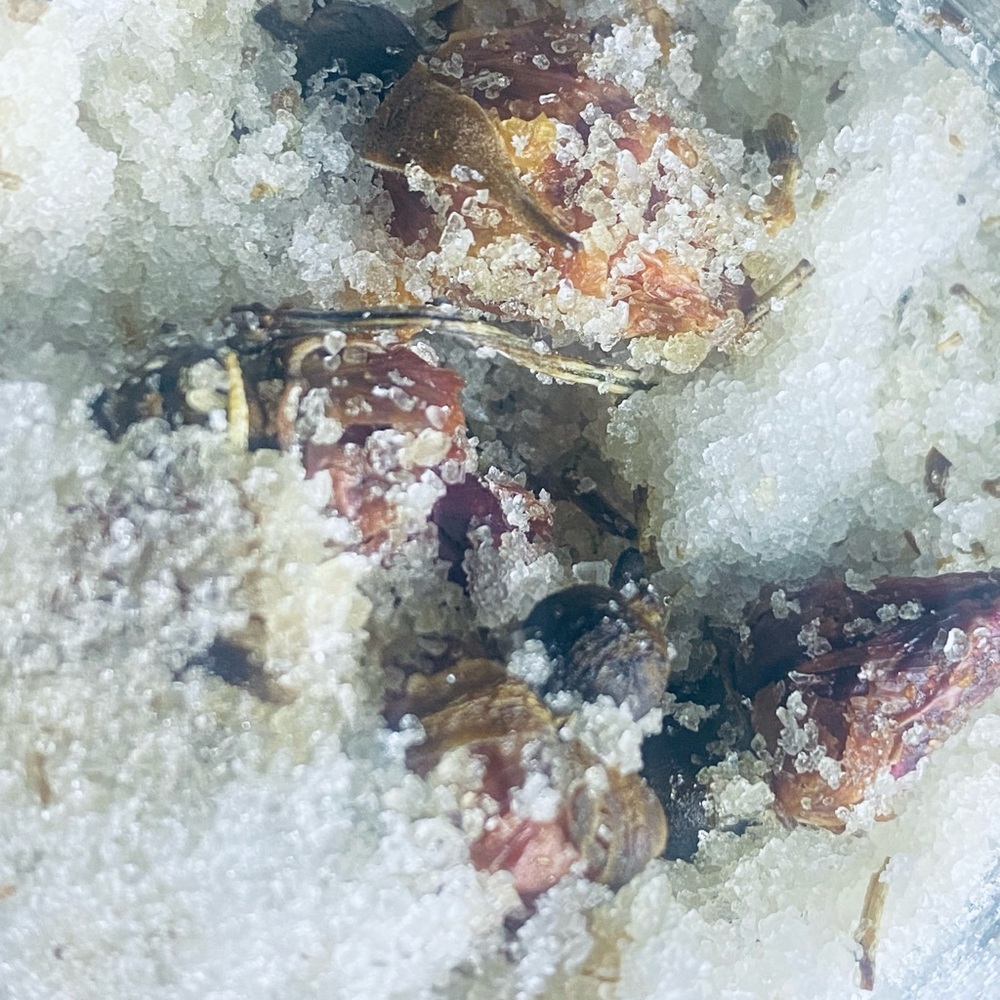 New Moon Bath Soak